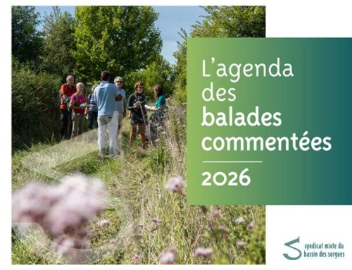 L&rsquo;agenda des balades commentées