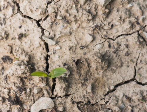 Rétractation / réhydratation des sols : demande de classement en catastrophe naturelle rejetée