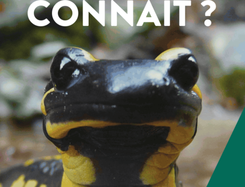 Rendez-vous Nature en Vaucluse