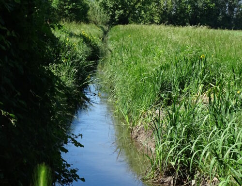 Fête de la Nature (16/05/2026)